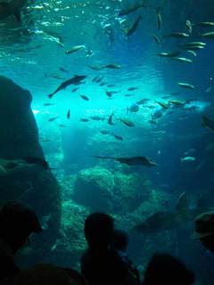 110717_123838.jpg