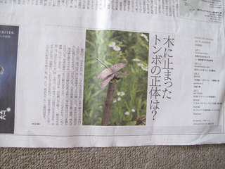 web-IMG_1803.jpg